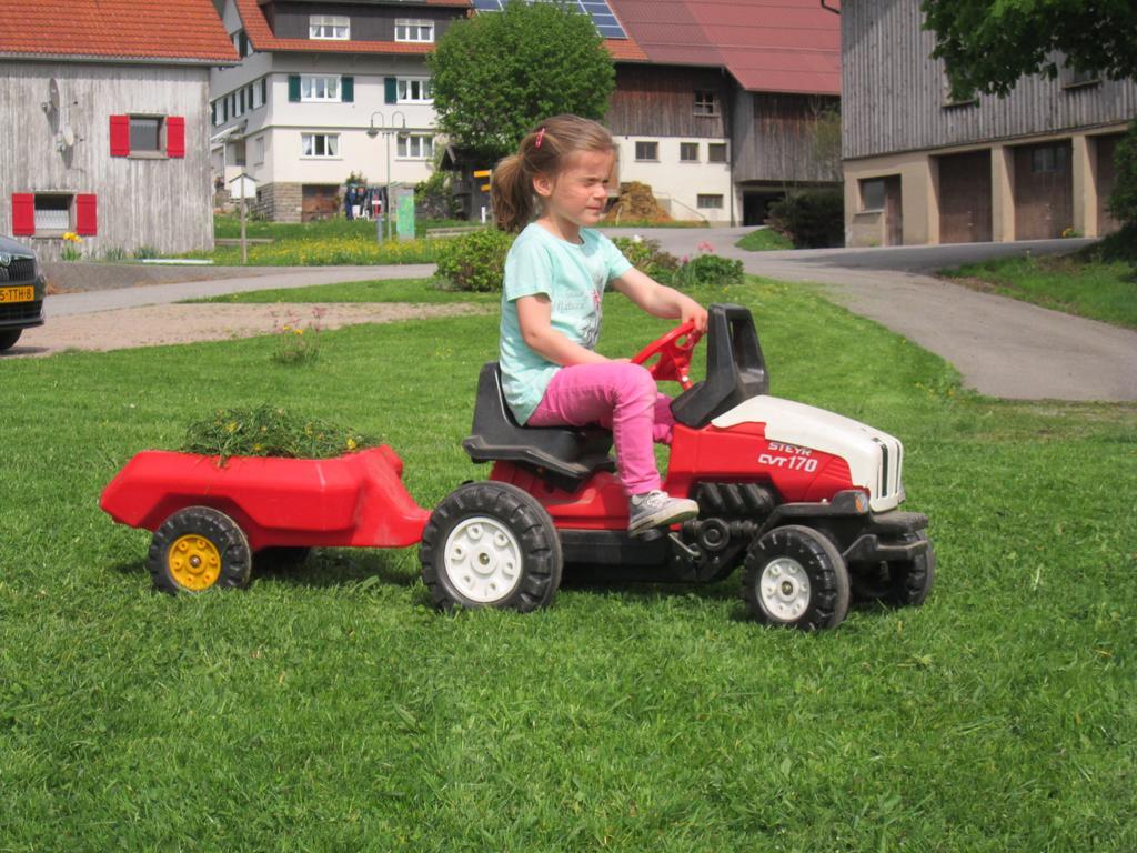 Sohlerhof * Eichenberg